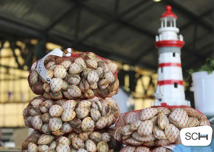 Serene View - By Sch Apartment *