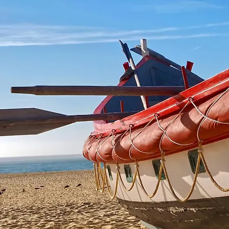 Serene View - By Sch *