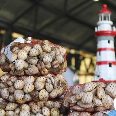 Serene View - By Sch Διαμέρισμα *